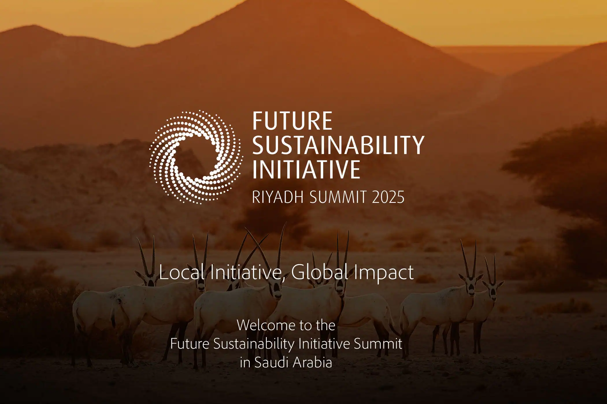 The National Projects — B2B marketing, event services & creative content in Saudi Arabia.